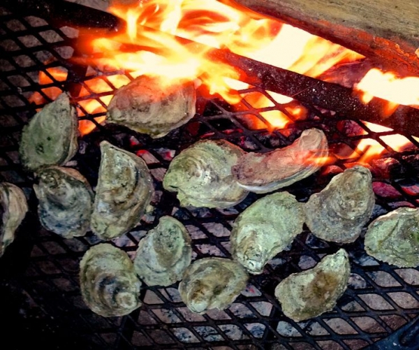 Oyster Roast - An early COS tradition!